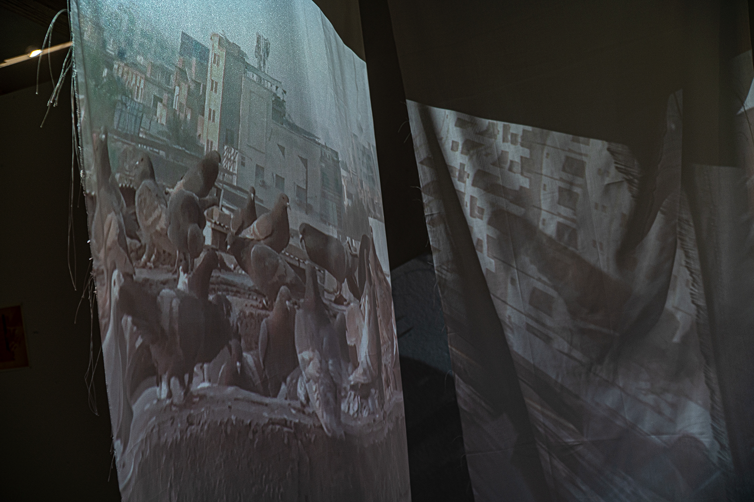 Photograph of a space with projections