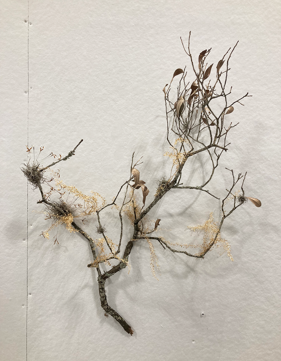 Tree branch with organic materials