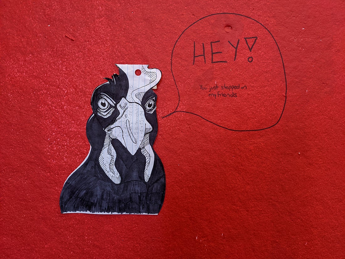 Close up of chicken and writing on the wall. 