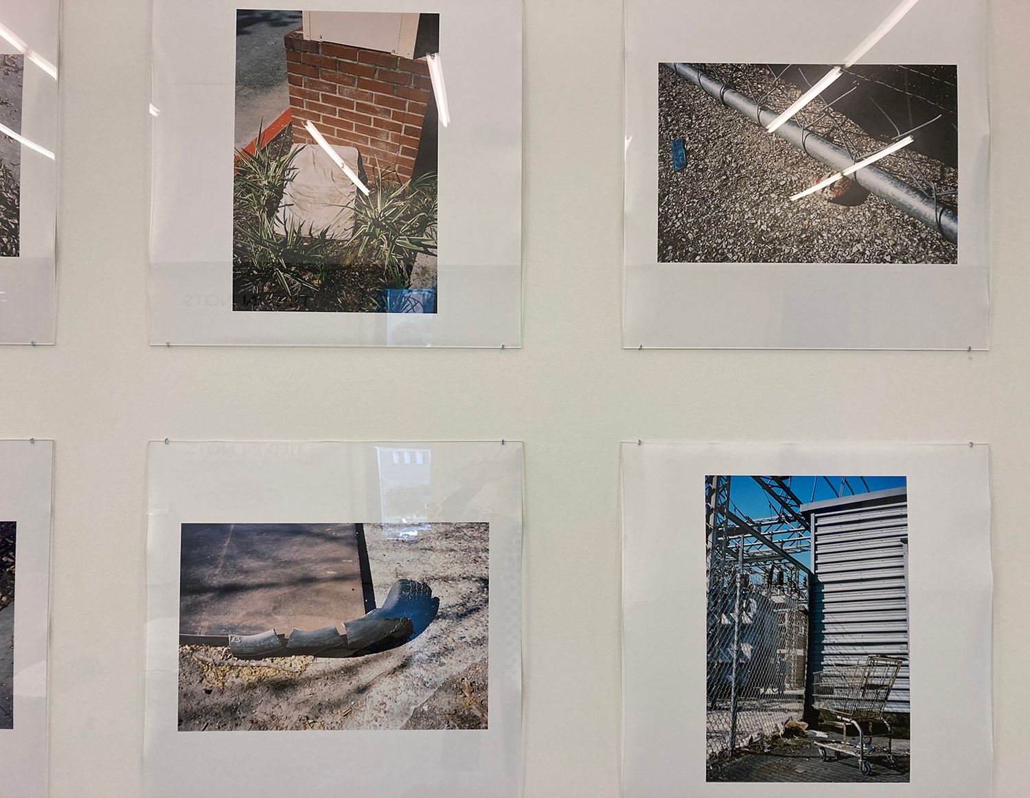 Close up of photograph by Christine Gjoerup