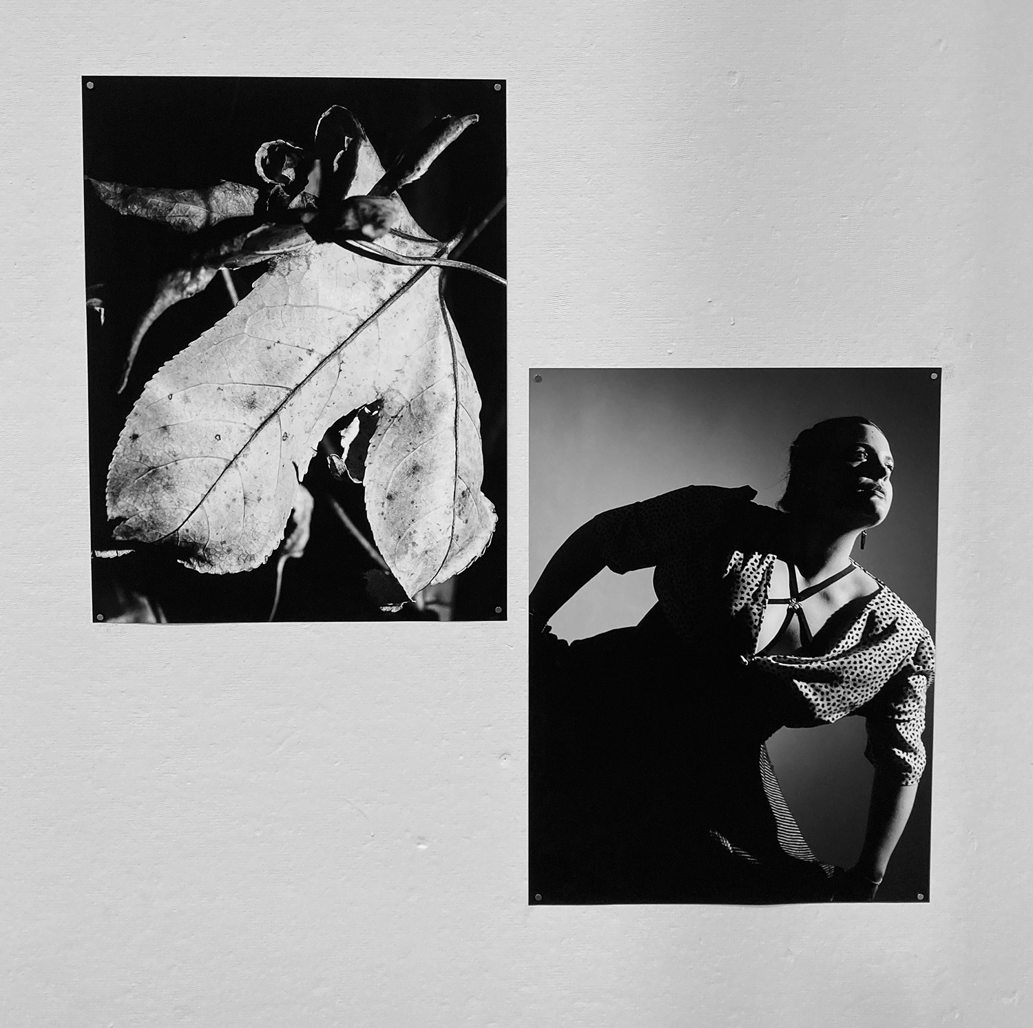 Two black and white photograph titled 'Samba' by Zeisha Bennett