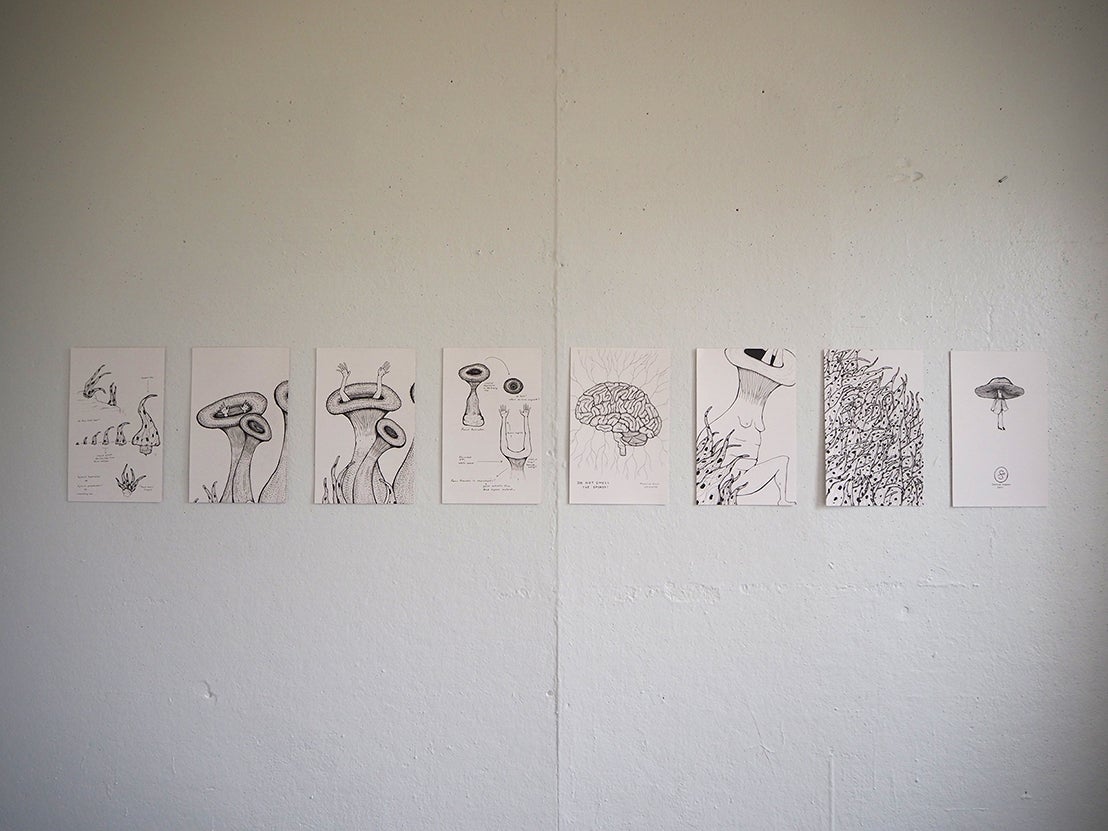 Drawings of unusual fungi on studio walls. 