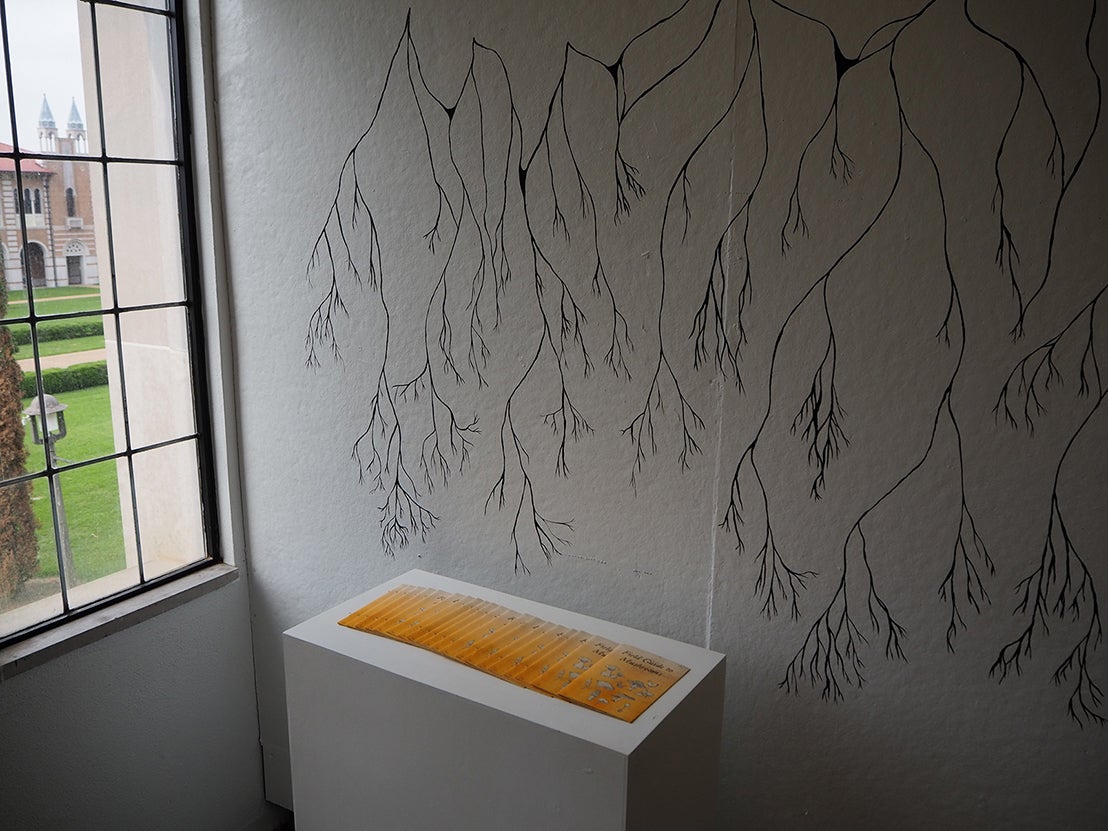 Alternate image of studio and 'field guide to mushrooms' booklet