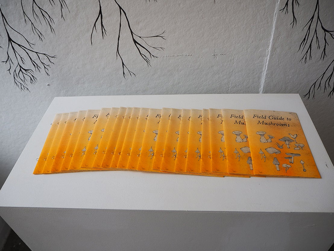 Closeup image of the 'Field Guid to Mushrooms' booklet