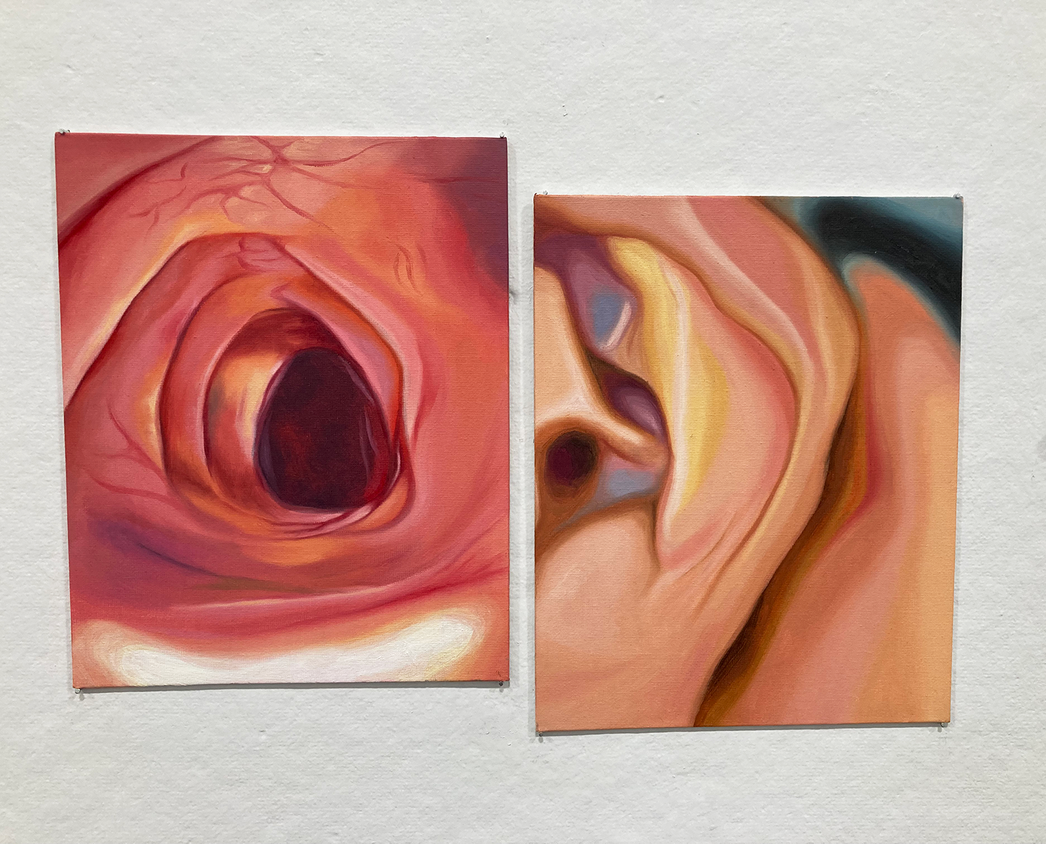 Two oil on canvas paintings of internal organs