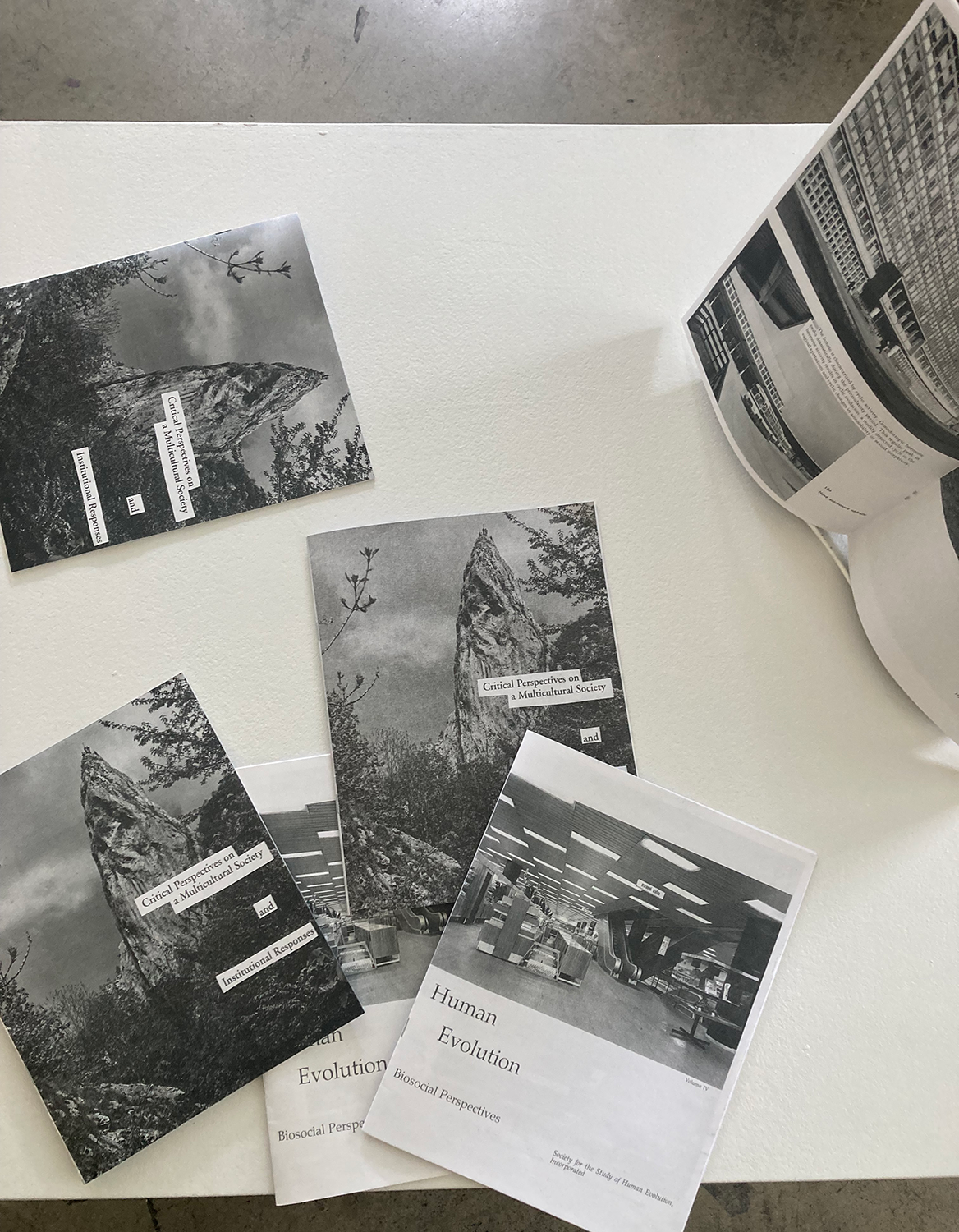 Image of risograph zines by Ling DeBellis