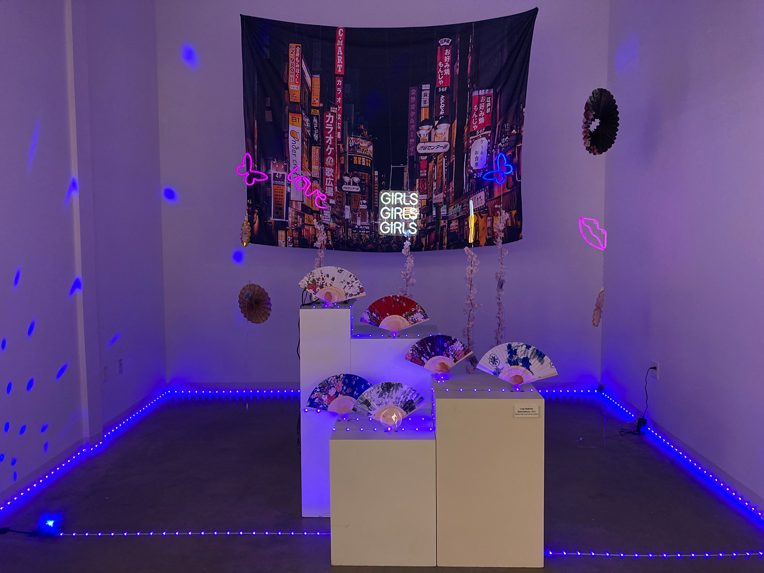 Image of project by Ling DeBellis