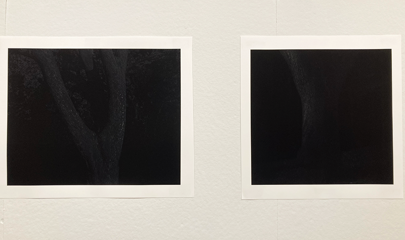 Photographs by Sophia Rohlfsen