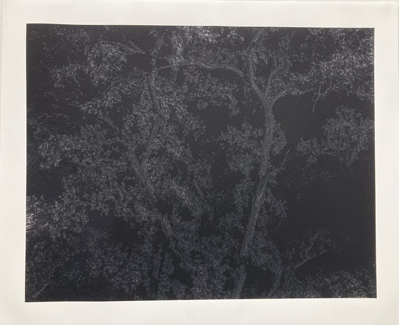 Photograph by Sophia Rohlfsen