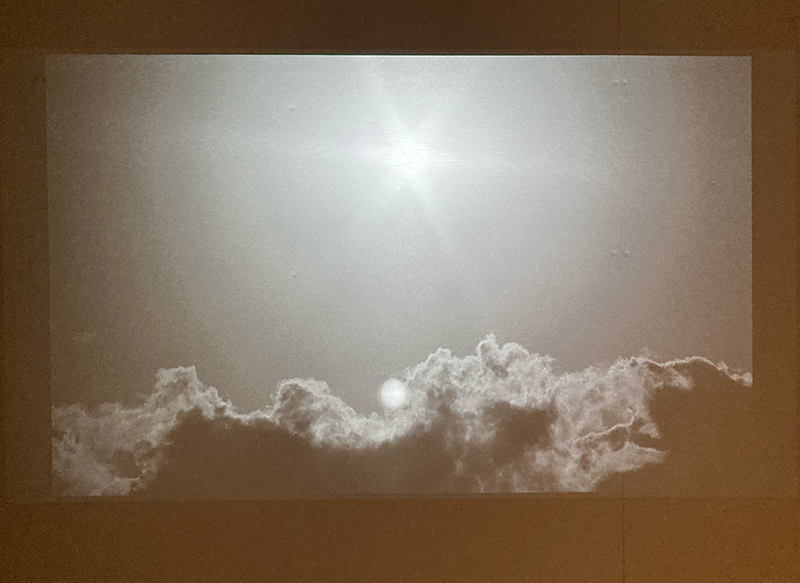 Photograph by Sophia Rohlfsen