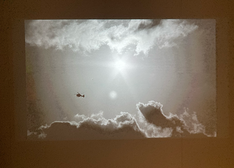 Photograph by Sophia Rohlfsen