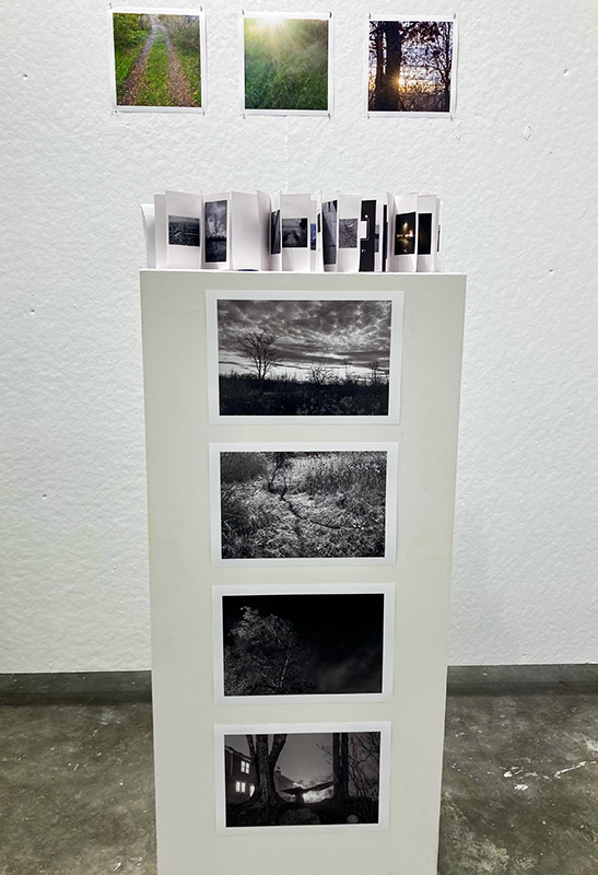 Kevin Chen Senior Exhibition 2024