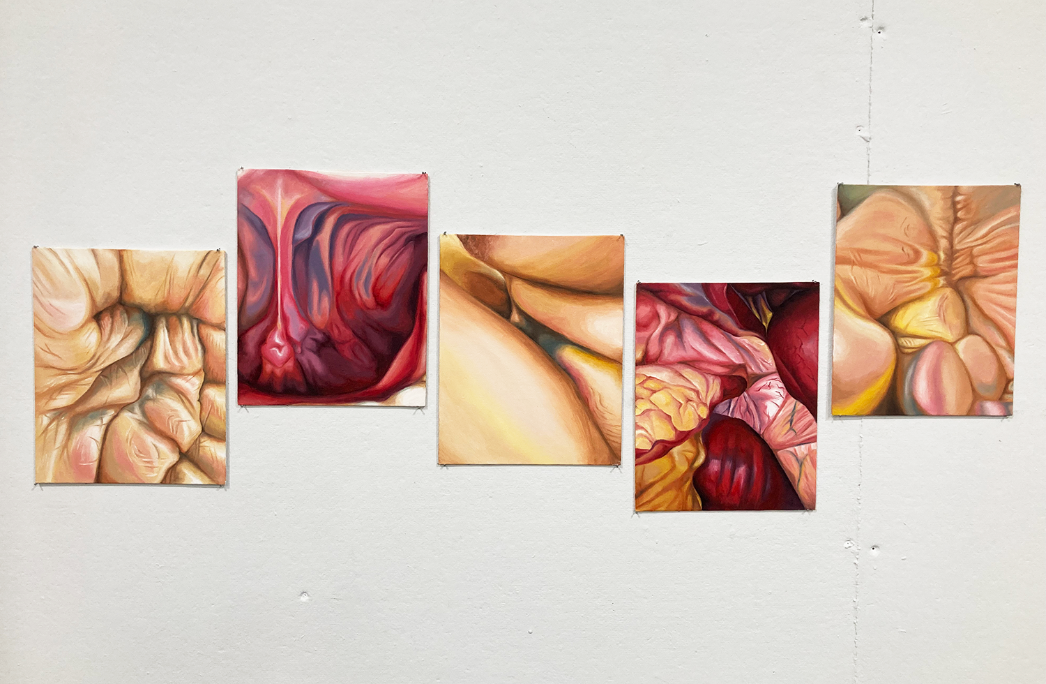 5 oil on canvas paintings of internal organs by Kirthi Chandra