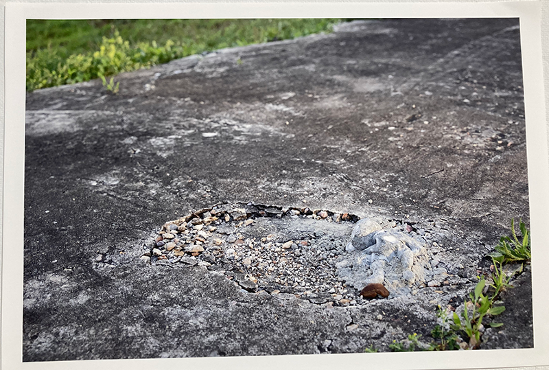 Photograph of cement bear by Sydney Little