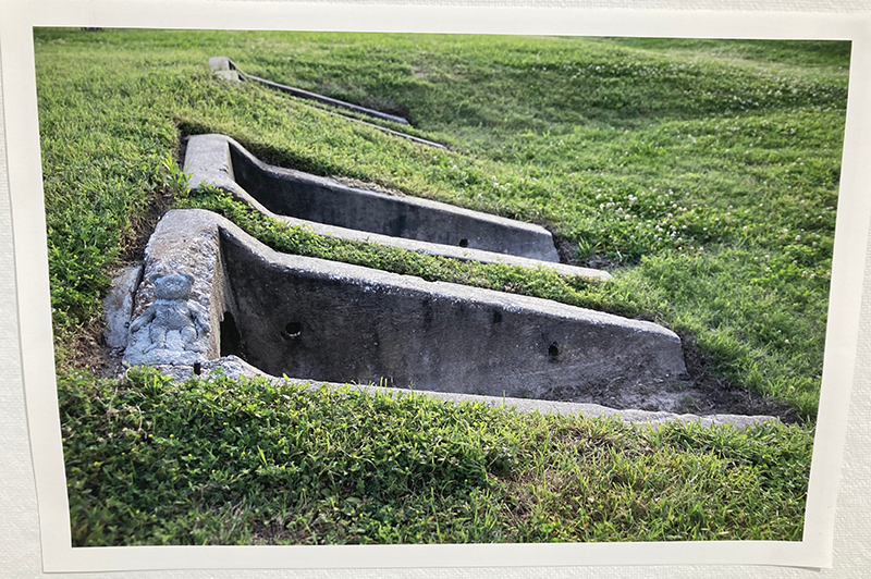 Photograph of cement bear by Sydney Little