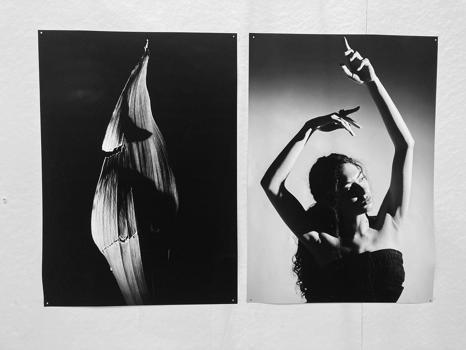 Black and white photographs by Zeisha Bennett